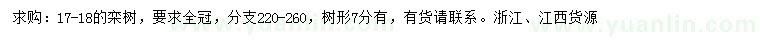 求購17-18公分欒樹
