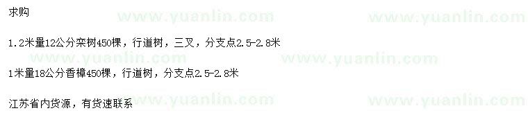 求購(gòu)1.2米量12公分欒樹、1米量18公分香樟