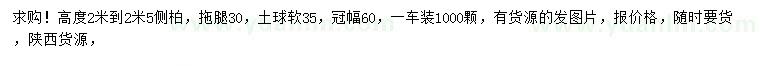 求購高2-2.5米側(cè)柏