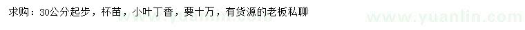 求購30公分起步小葉丁香