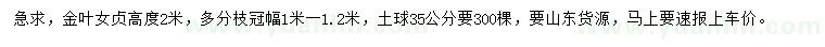 求購(gòu)高2米金葉女貞