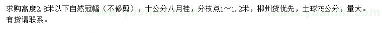 求購10公分八月桂