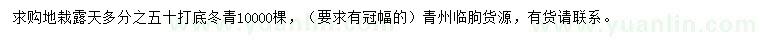 求購(gòu)50公分以上冬青