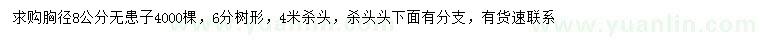 求購胸徑8公分無(wú)患子