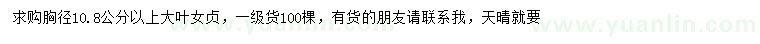 求購胸徑10.8公分以上大葉女貞