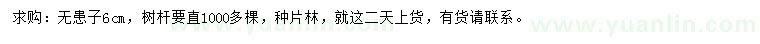 求購(gòu)6公分無(wú)患子