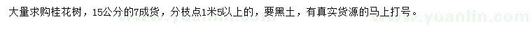 求購15公分桂花