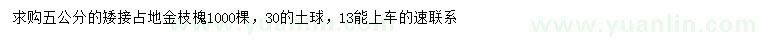 求購5公分金枝槐
