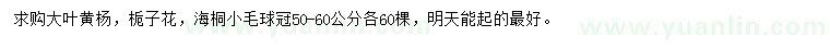 求購(gòu)大葉黃楊、梔子花、海桐小毛球