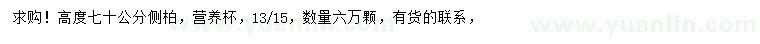 求購(gòu)高70公分側(cè)柏