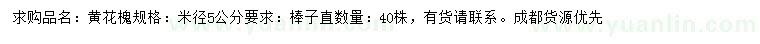 求購米徑5公分黃花槐