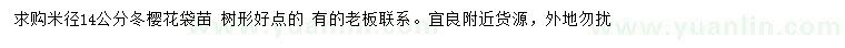 求購米徑14公分冬櫻花