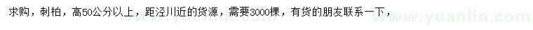 求購高50公分以上刺柏