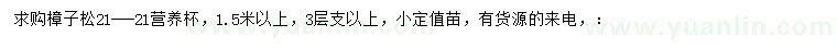 求購1.5米以上樟子松