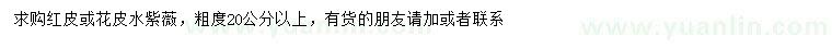 求購20公分以上紅皮或花皮水紫薇