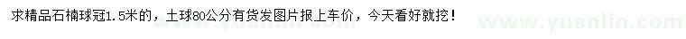 求購(gòu)冠幅1.5米石楠球