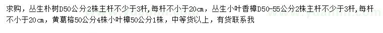 求購叢生樸樹、叢生小葉香樟、黃葛榕等