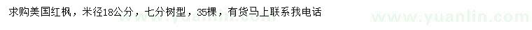 求購米徑18公分美國紅楓