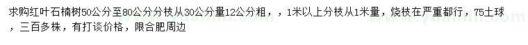 求購(gòu)30公分量12公分紅葉石楠
