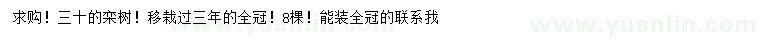 求購30公分欒樹