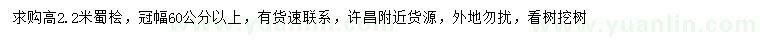 求購高2.2米蜀檜