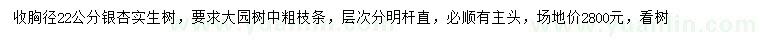 求購胸徑22公分銀杏