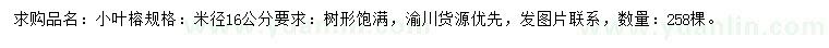 求購米徑16公分小葉榕