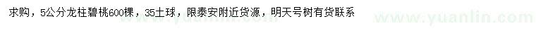 求購5公分龍柱碧桃