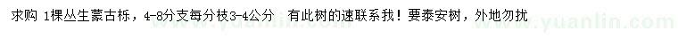 求購(gòu)4-8分枝叢生蒙古櫟