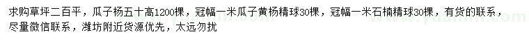 求購(gòu)草坪、瓜子楊、瓜子黃楊球等