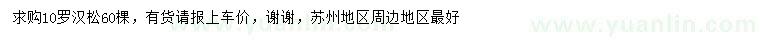 求購10公分羅漢松