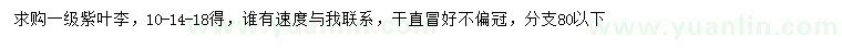 求購10、14、18公分紫葉李