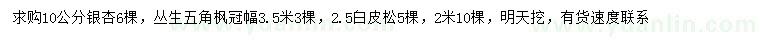 求購(gòu)銀杏、叢生五角楓、白皮松