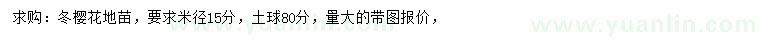 求購米徑15公分冬櫻花