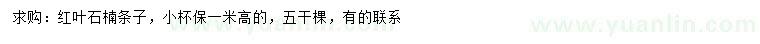 求購(gòu)高1米紅葉石楠