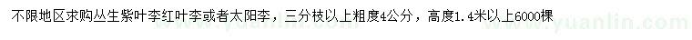 求購叢生紫葉李、紅葉李、太陽李