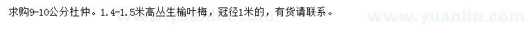 求購9-10公分杜仲、冠幅1米叢生榆葉梅