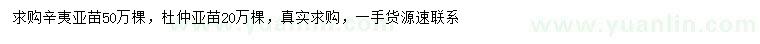 求購辛夷、杜仲苗