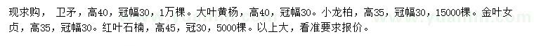 求購衛(wèi)矛、大葉黃楊、小龍柏等