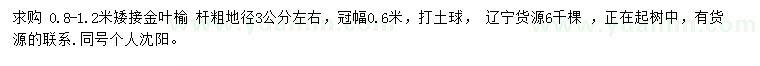 求購0.8-1.2米金葉榆