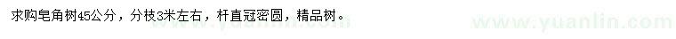 求購(gòu)45公分皂角樹(shù)