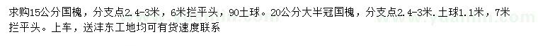 求購(gòu)15、20公分國(guó)槐