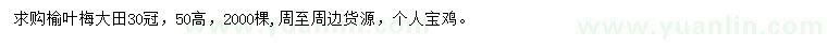 求購冠幅30公分榆葉梅