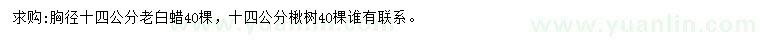 求購胸徑14公分老白蠟、楸樹