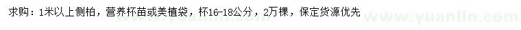 求購1米以上側(cè)柏
