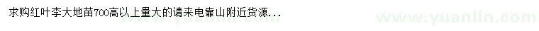 求購高700以上紅葉李