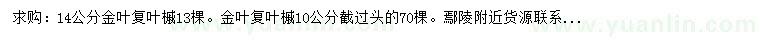 求購10、14公分金葉復(fù)葉槭