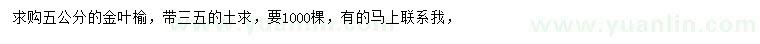 求購5公分金葉榆
