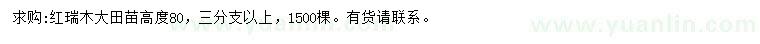 求購(gòu)高80公分紅瑞木