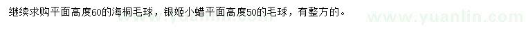 求購(gòu)高60公分海桐毛球、銀姬小蠟